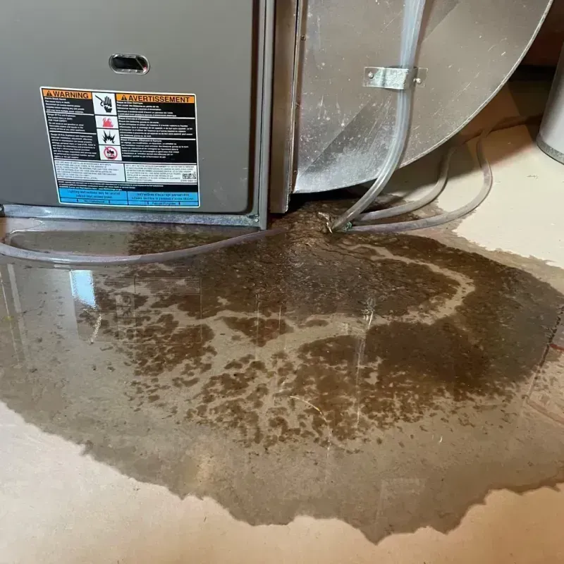 Appliance Leak Cleanup in Fort Leonard Wood, MO